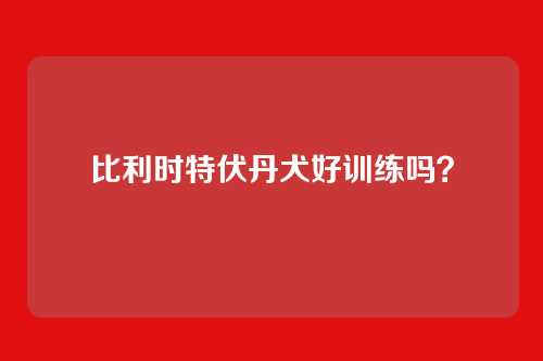 比利时特伏丹犬好训练吗？