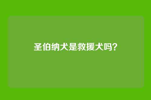 圣伯纳犬是救援犬吗？