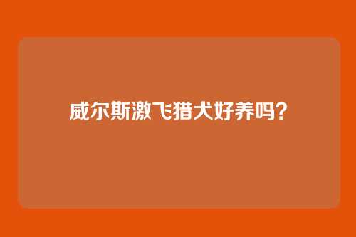 威尔斯激飞猎犬好养吗？