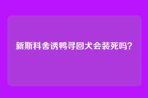新斯科舍诱鸭寻回犬会装死吗？
