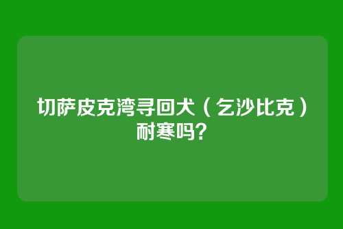 切萨皮克湾寻回犬（乞沙比克）耐寒吗？