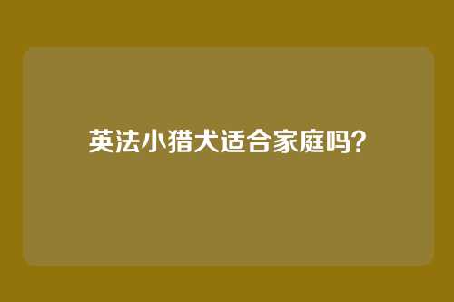 英法小猎犬适合家庭吗？