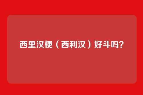 西里汉梗（西利汉）好斗吗？