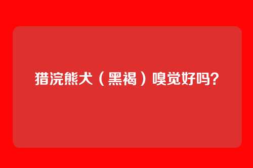 猎浣熊犬（黑褐）嗅觉好吗？