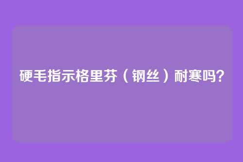 硬毛指示格里芬（钢丝）耐寒吗？
