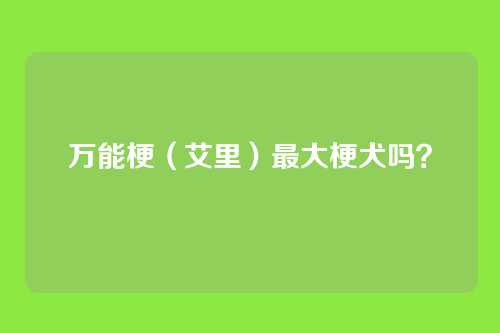 万能梗（艾里）最大梗犬吗？