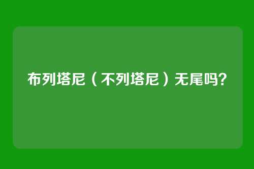 布列塔尼（不列塔尼）无尾吗？