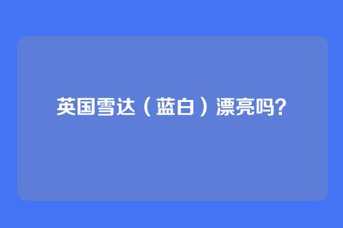 英国雪达（蓝白）漂亮吗？