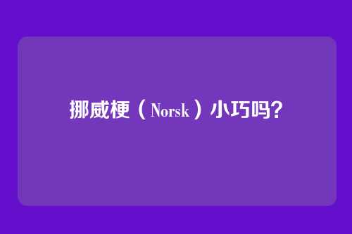 挪威梗（Norsk）小巧吗？