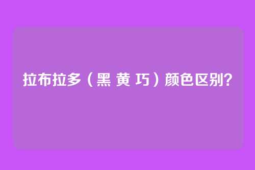 拉布拉多（黑 黄 巧）颜色区别？