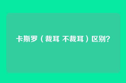 卡斯罗（裁耳 不裁耳）区别？