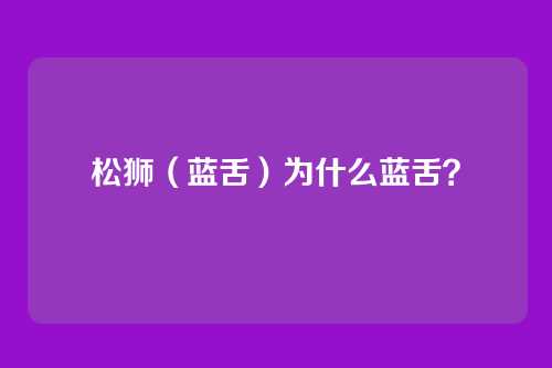 松狮（蓝舌）为什么蓝舌？