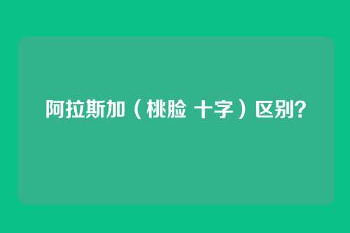 阿拉斯加（桃脸 十字）区别？