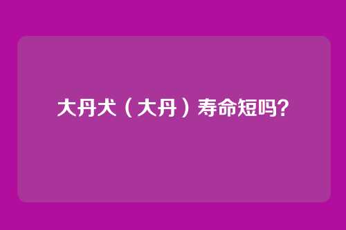 大丹犬（大丹）寿命短吗？
