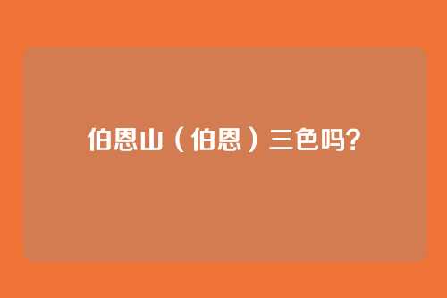伯恩山（伯恩）三色吗？