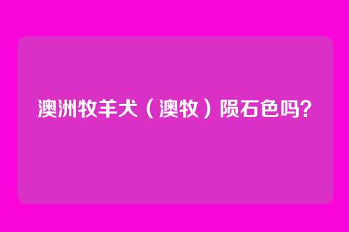 澳洲牧羊犬（澳牧）陨石色吗？