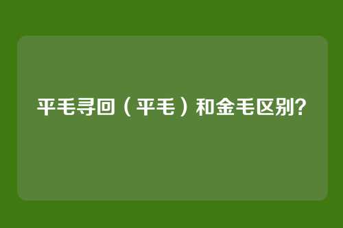 平毛寻回（平毛）和金毛区别？