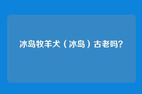 冰岛牧羊犬（冰岛）古老吗？
