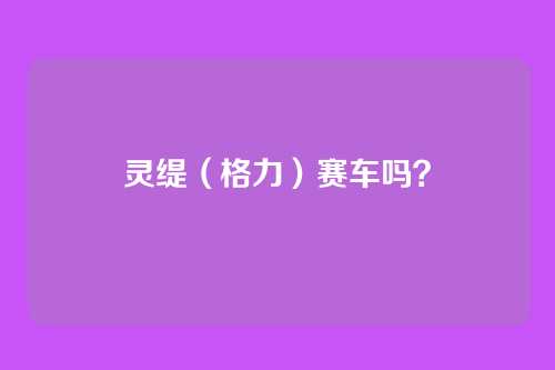 灵缇（格力）赛车吗？