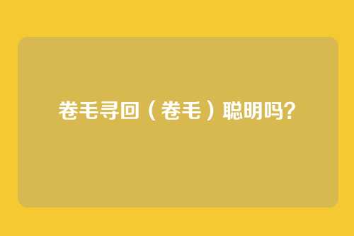 卷毛寻回（卷毛）聪明吗？