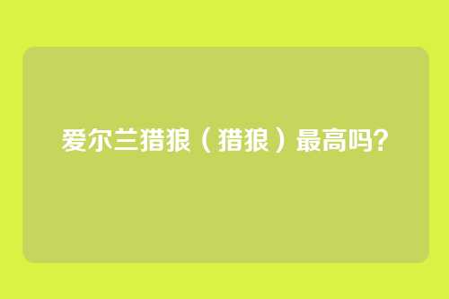 爱尔兰猎狼(猎狼)最高吗?
