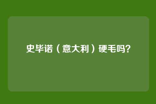 史毕诺（意大利）硬毛吗？