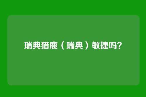 瑞典猎鹿（瑞典）敏捷吗？