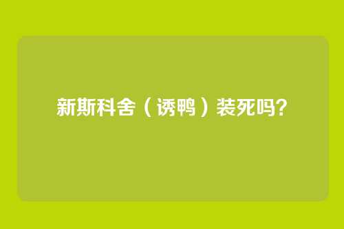 新斯科舍（诱鸭）装死吗？