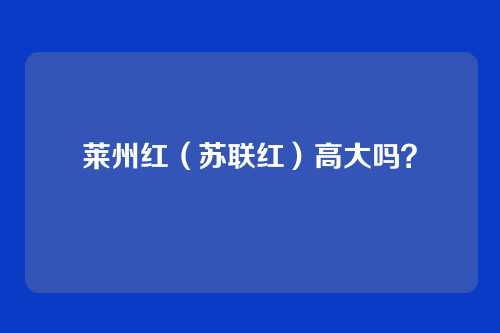 莱州红（苏联红）高大吗？