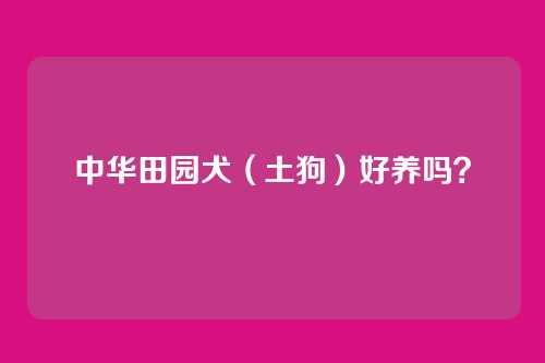 中华田园犬（土狗）好养吗？