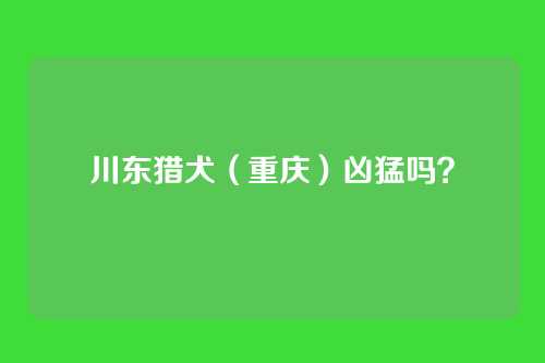 川东猎犬（重庆）凶猛吗？