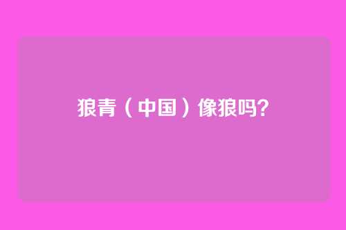 狼青（中国）像狼吗？