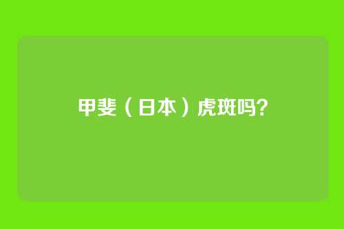 甲斐（日本）虎斑吗？