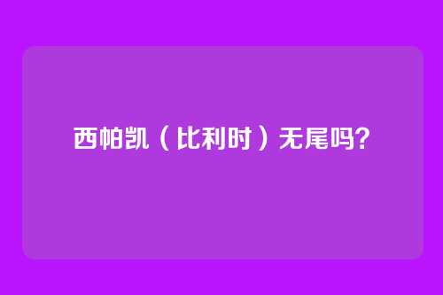 西帕凯（比利时）无尾吗？