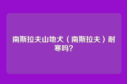南斯拉夫山地犬（南斯拉夫）耐寒吗？