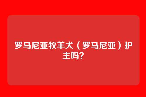 罗马尼亚牧羊犬（罗马尼亚）护主吗？