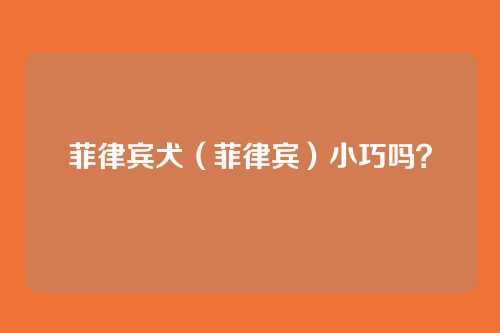 菲律宾犬（菲律宾）小巧吗？
