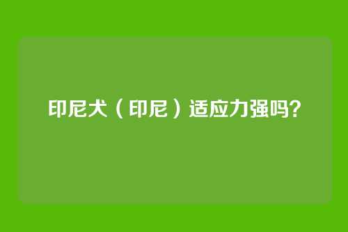 印尼犬（印尼）适应力强吗？