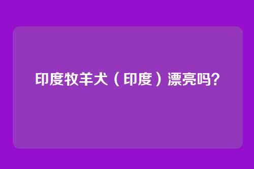 印度牧羊犬（印度）漂亮吗？
