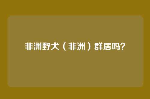 非洲野犬（非洲）群居吗？