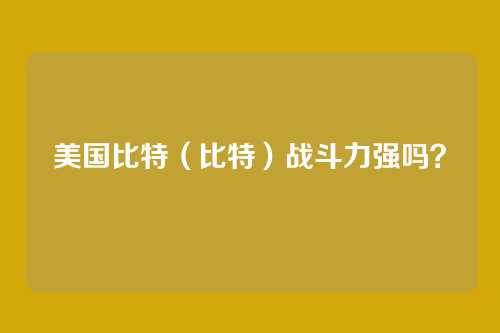 美国比特（比特）战斗力强吗？