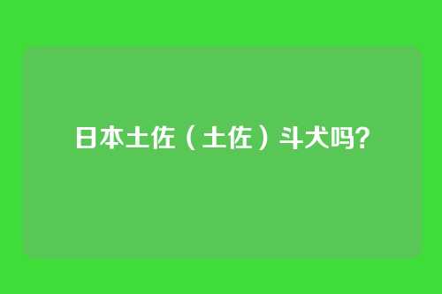 日本土佐（土佐）斗犬吗？