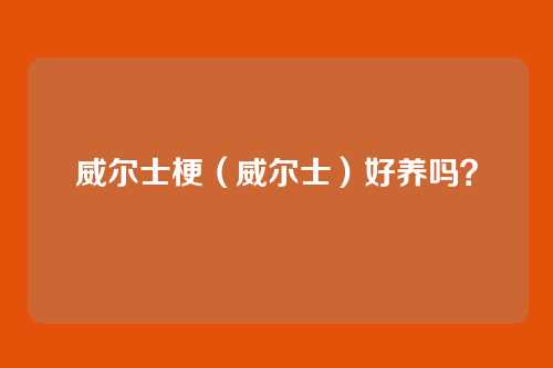 威尔士梗（威尔士）好养吗？