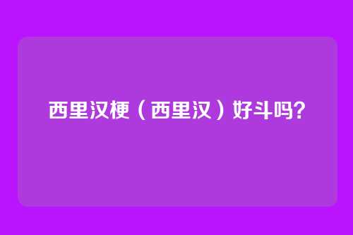 西里汉梗（西里汉）好斗吗？
