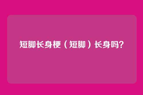 短脚长身梗（短脚）长身吗？