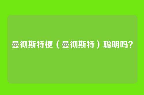 曼彻斯特梗（曼彻斯特）聪明吗？