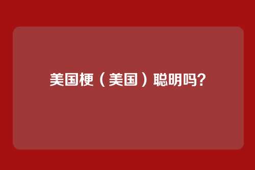 美国梗（美国）聪明吗？