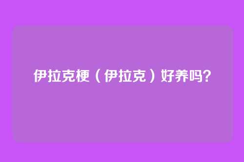 伊拉克梗（伊拉克）好养吗？