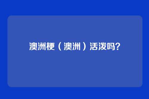 澳洲梗（澳洲）活泼吗？