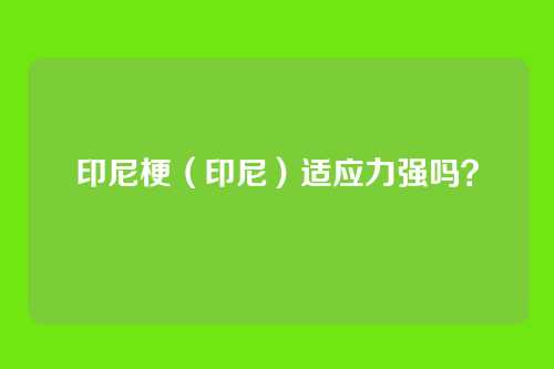 印尼梗（印尼）适应力强吗？